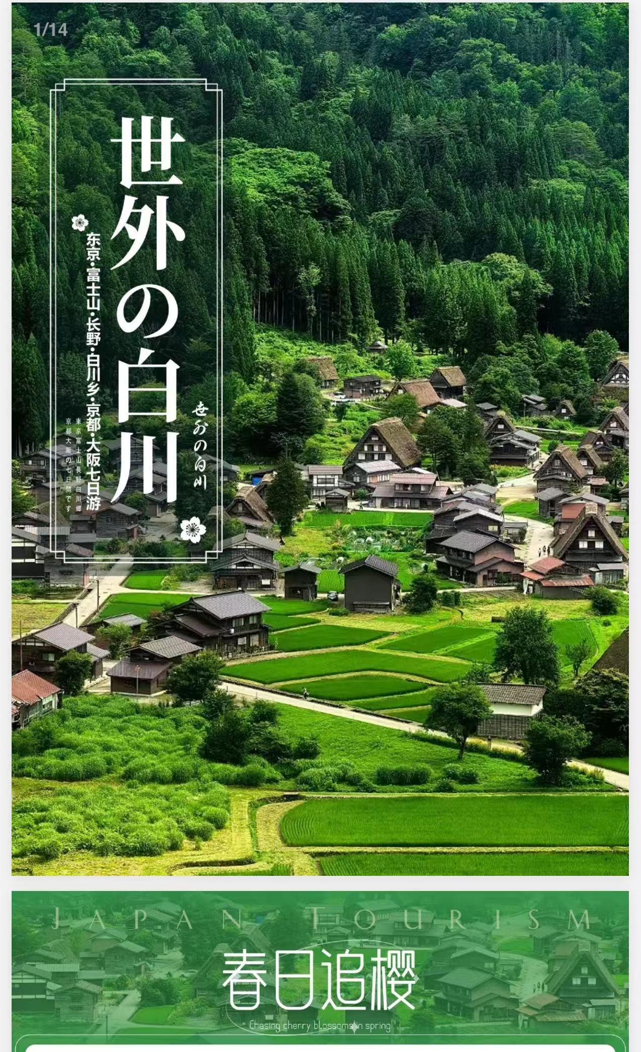 2025春日追樱日本东京大阪